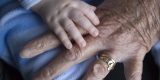 baby hand and grandparent hand