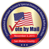 November 3, 2015 Election Pin