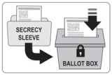 voting instructions step7