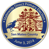 June 3, 2014 Election Pin